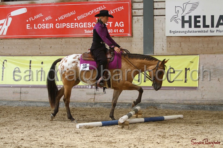 26-ApHC GT_001.jpg